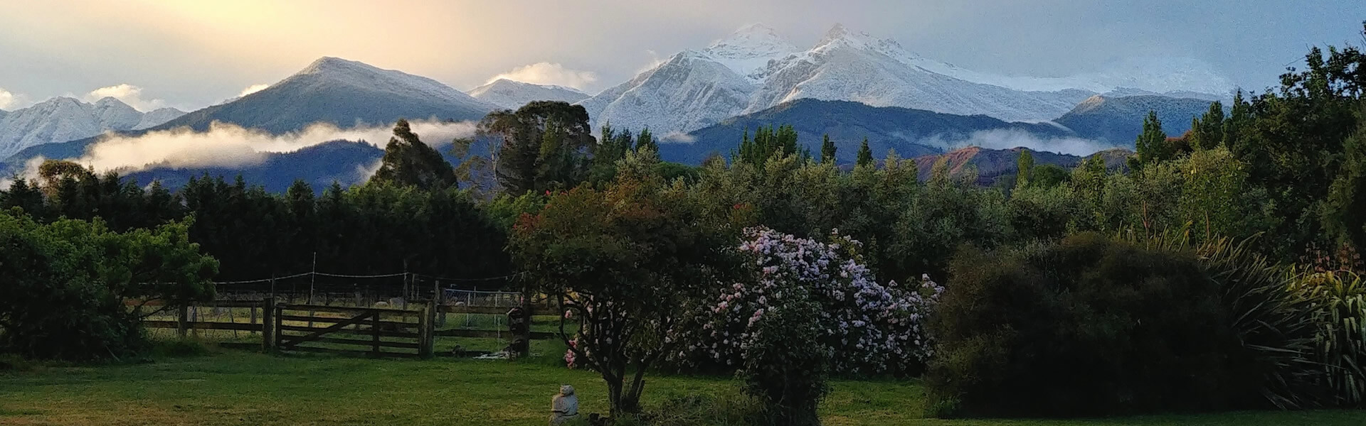 View Of Garden And Mountains Near Jeymar Soap And Body In Blenheim Marlborough NZ